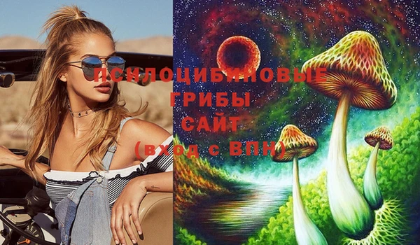 ECSTASY Снежинск