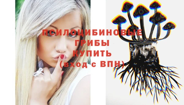 кокаин премиум Белокуриха