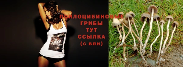MDMA Premium VHQ Беломорск