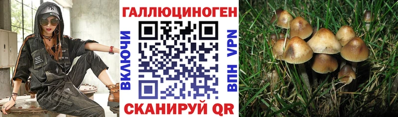 Галлюциногенные грибы GOLDEN TEACHER  где продают наркотики  Соль-Илецк 