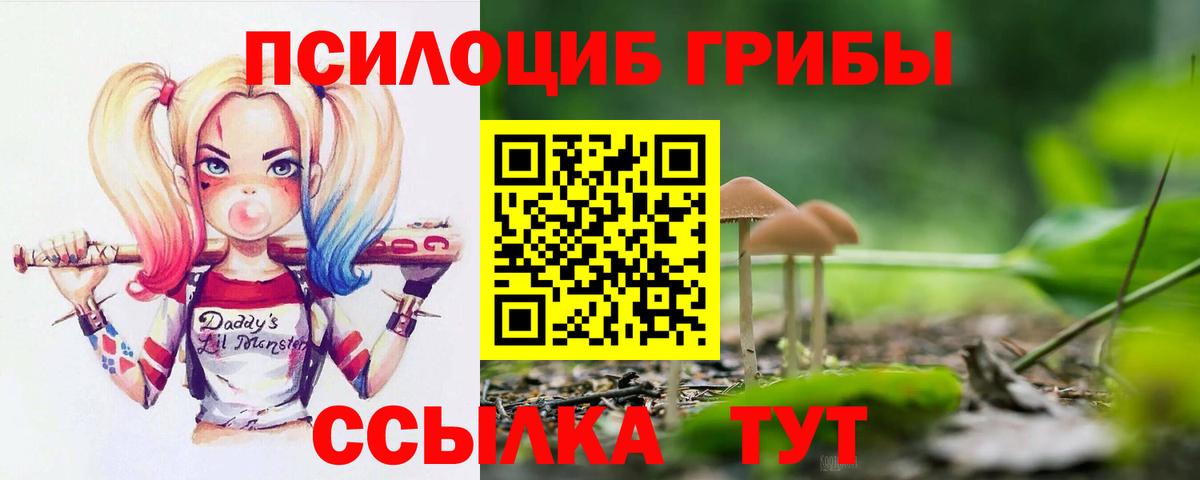 Галлюциногенные грибы Cubensis  Псилоцибиновые грибы Psilocybe  Соль-Илецк  Вход с VPN 